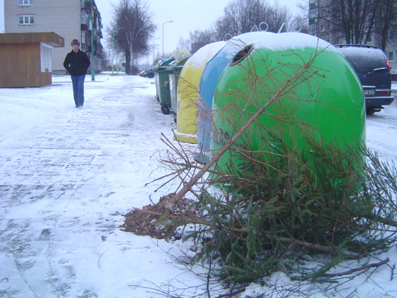 Ne vietoje išmestos kalėdinės eglutės teršia aplinką, apsunkina buitinių atliekų surinkėjų darbą. (O. Lidžiaus nuotr.)