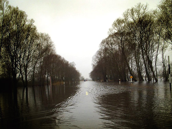 Kelias į Rusnę per potvynį. (L. Mockaus nuotr.)